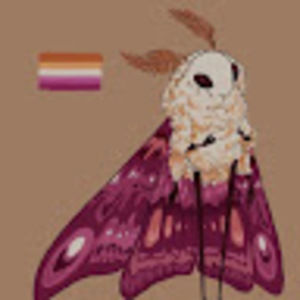 Meet your Posher, Lara